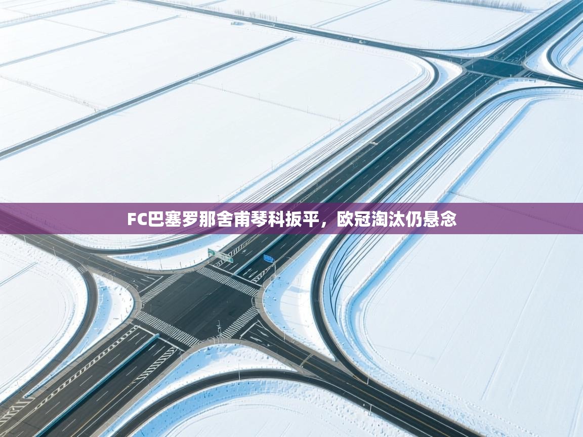 FC巴塞罗那舍甫琴科扳平，欧冠淘汰仍悬念  第1张